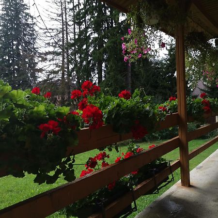 Challet Montan Poiana Brasov Ngoại thất bức ảnh