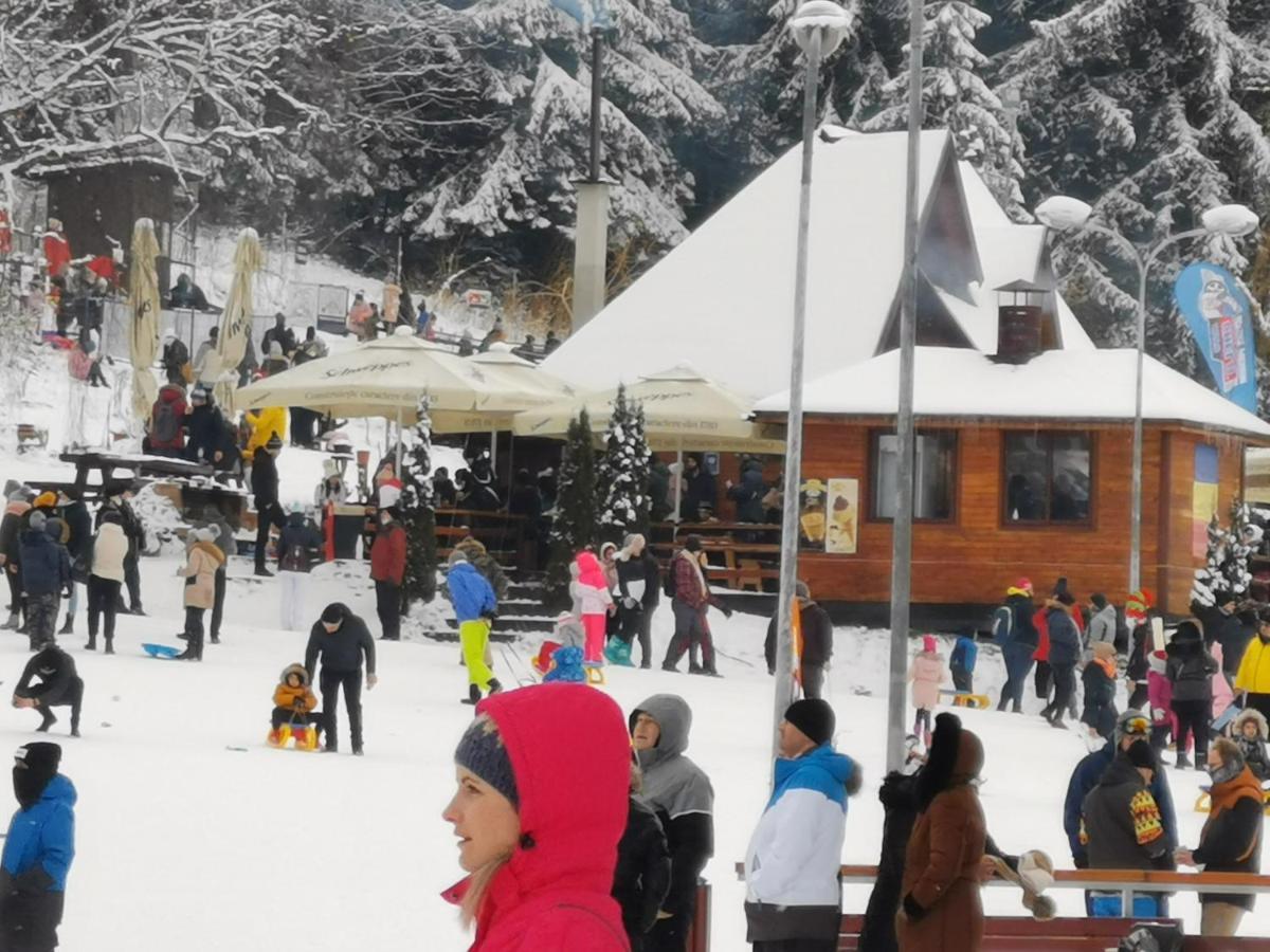 Challet Montan Poiana Brasov Ngoại thất bức ảnh