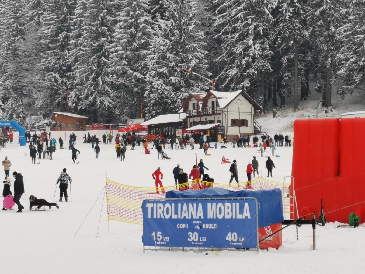 Challet Montan Poiana Brasov Ngoại thất bức ảnh