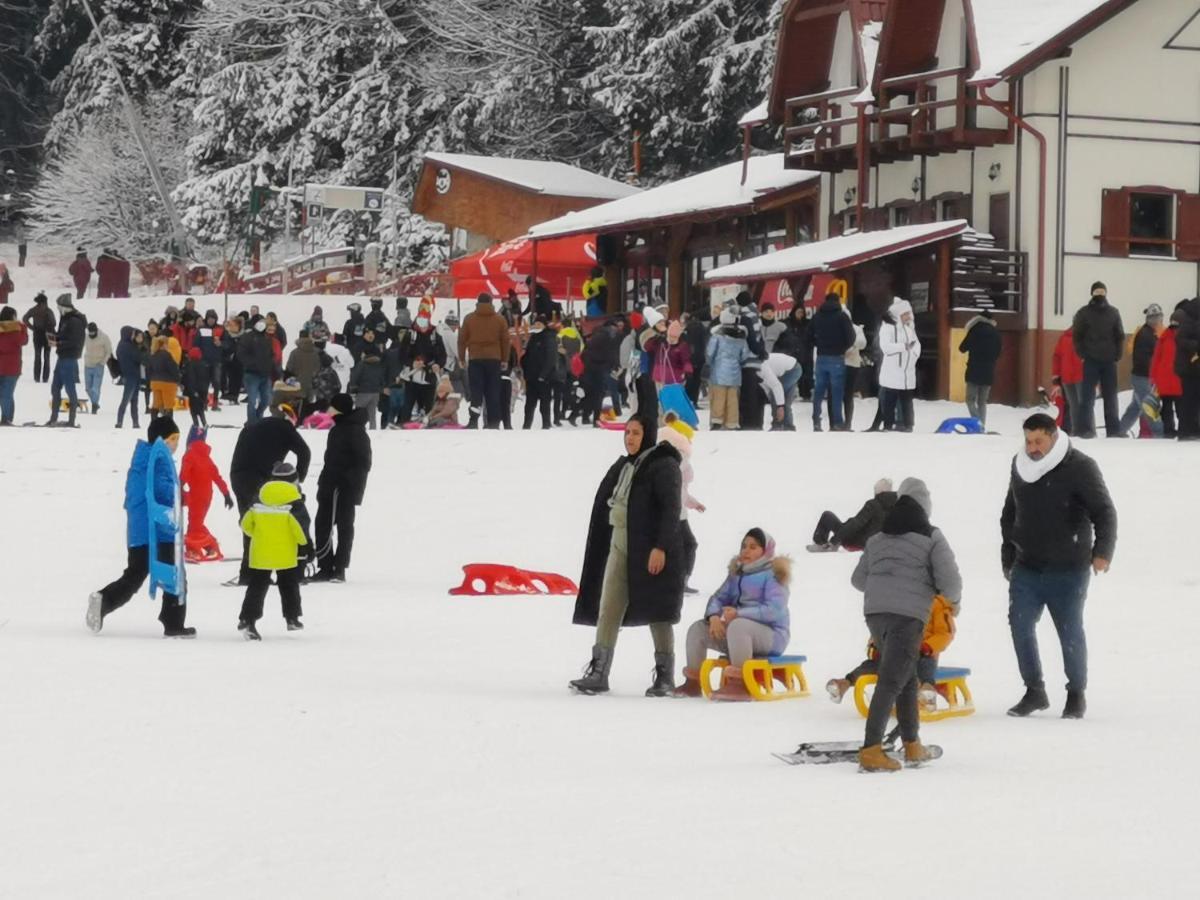 Challet Montan Poiana Brasov Ngoại thất bức ảnh