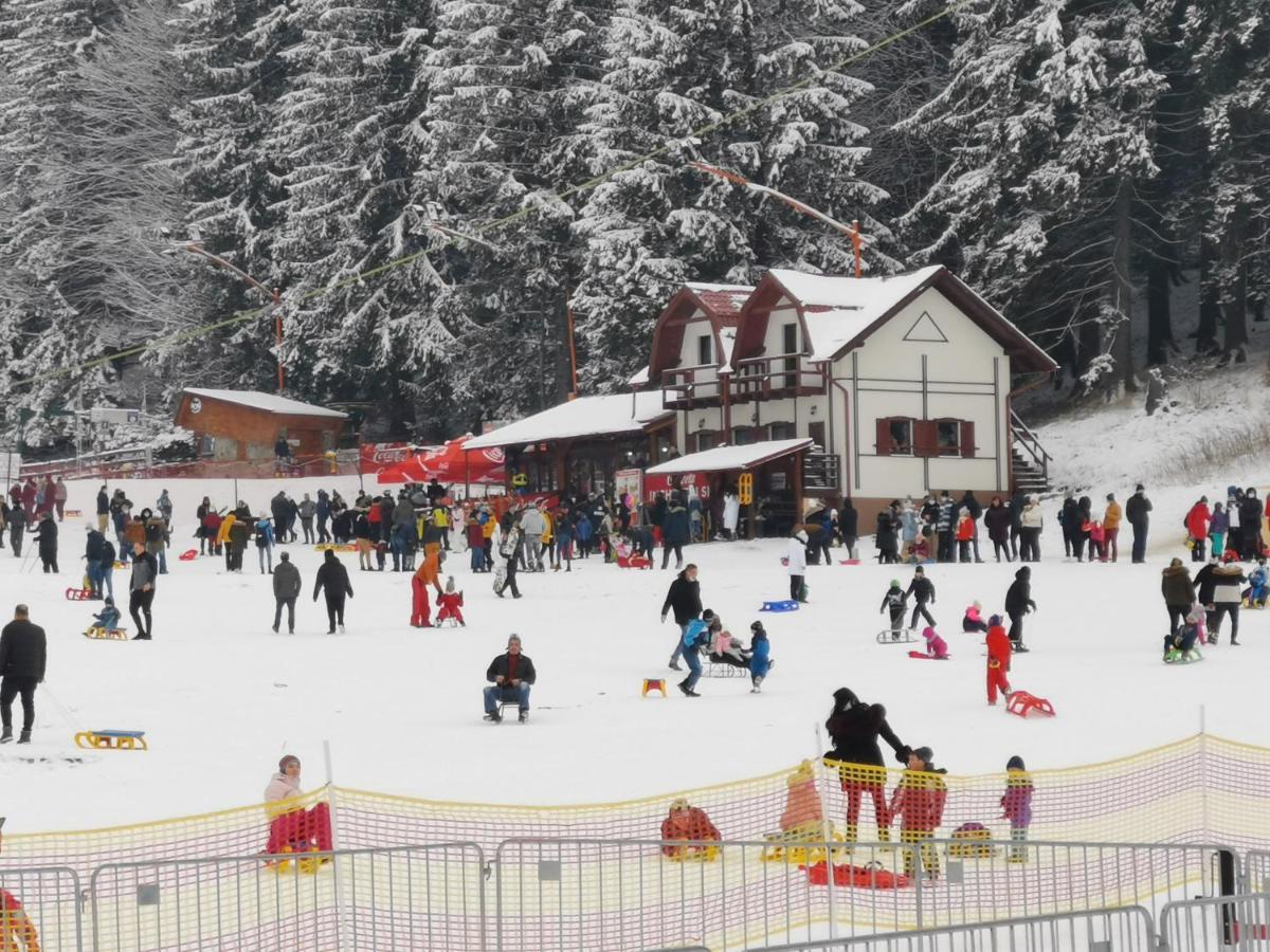 Challet Montan Poiana Brasov Ngoại thất bức ảnh