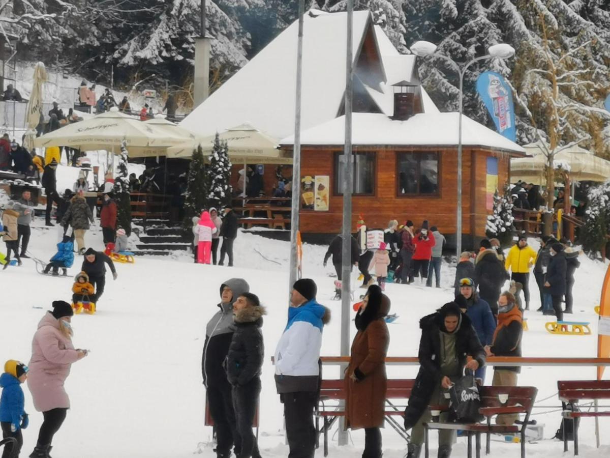 Challet Montan Poiana Brasov Ngoại thất bức ảnh