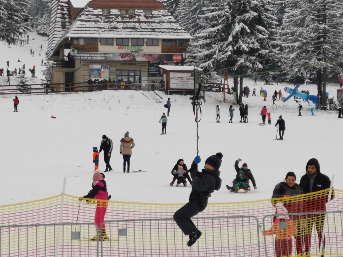 Challet Montan Poiana Brasov Ngoại thất bức ảnh
