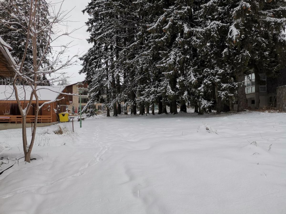 Challet Montan Poiana Brasov Ngoại thất bức ảnh