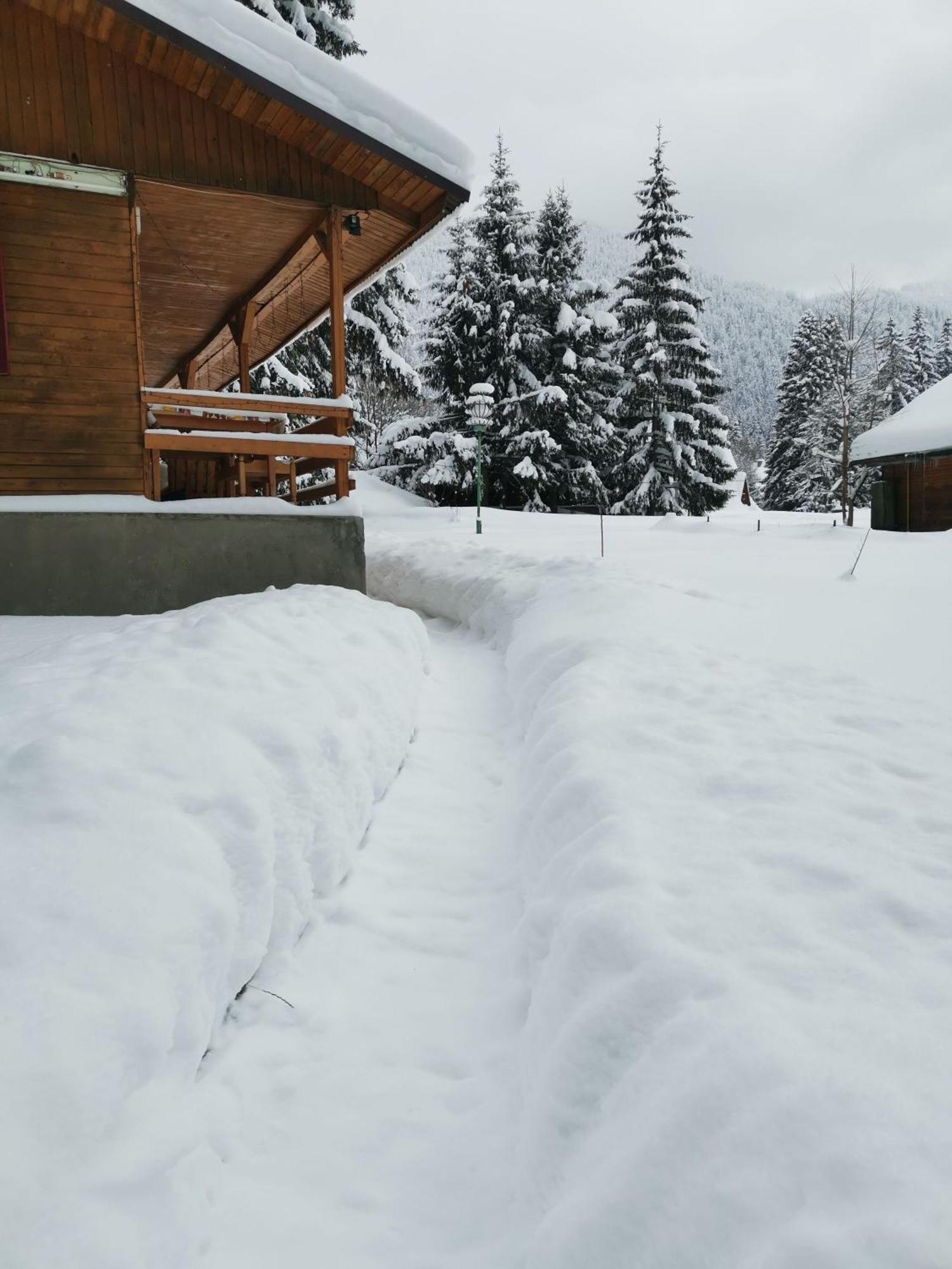 Challet Montan Poiana Brasov Ngoại thất bức ảnh