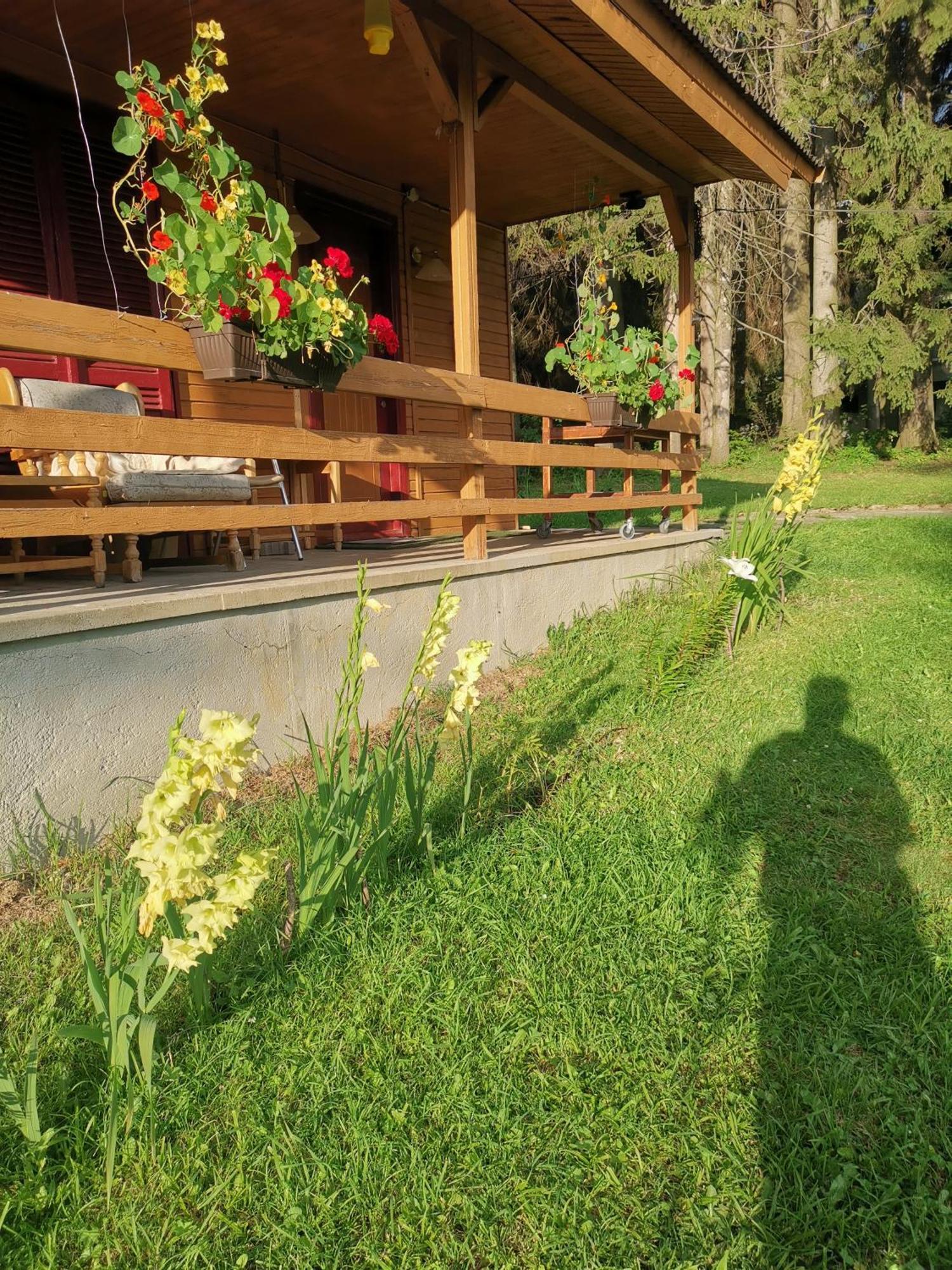 Challet Montan Poiana Brasov Ngoại thất bức ảnh