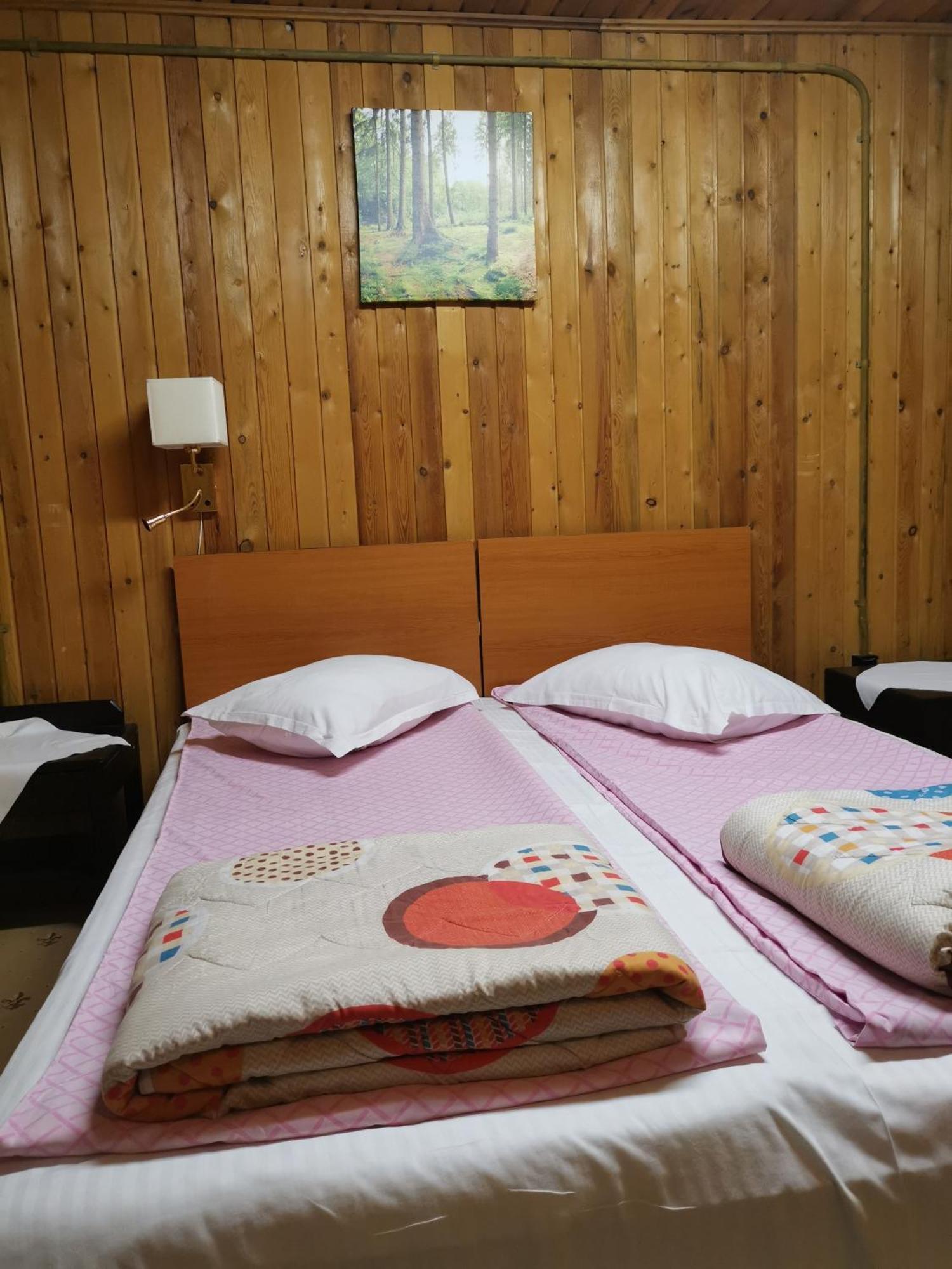 Challet Montan Poiana Brasov Ngoại thất bức ảnh