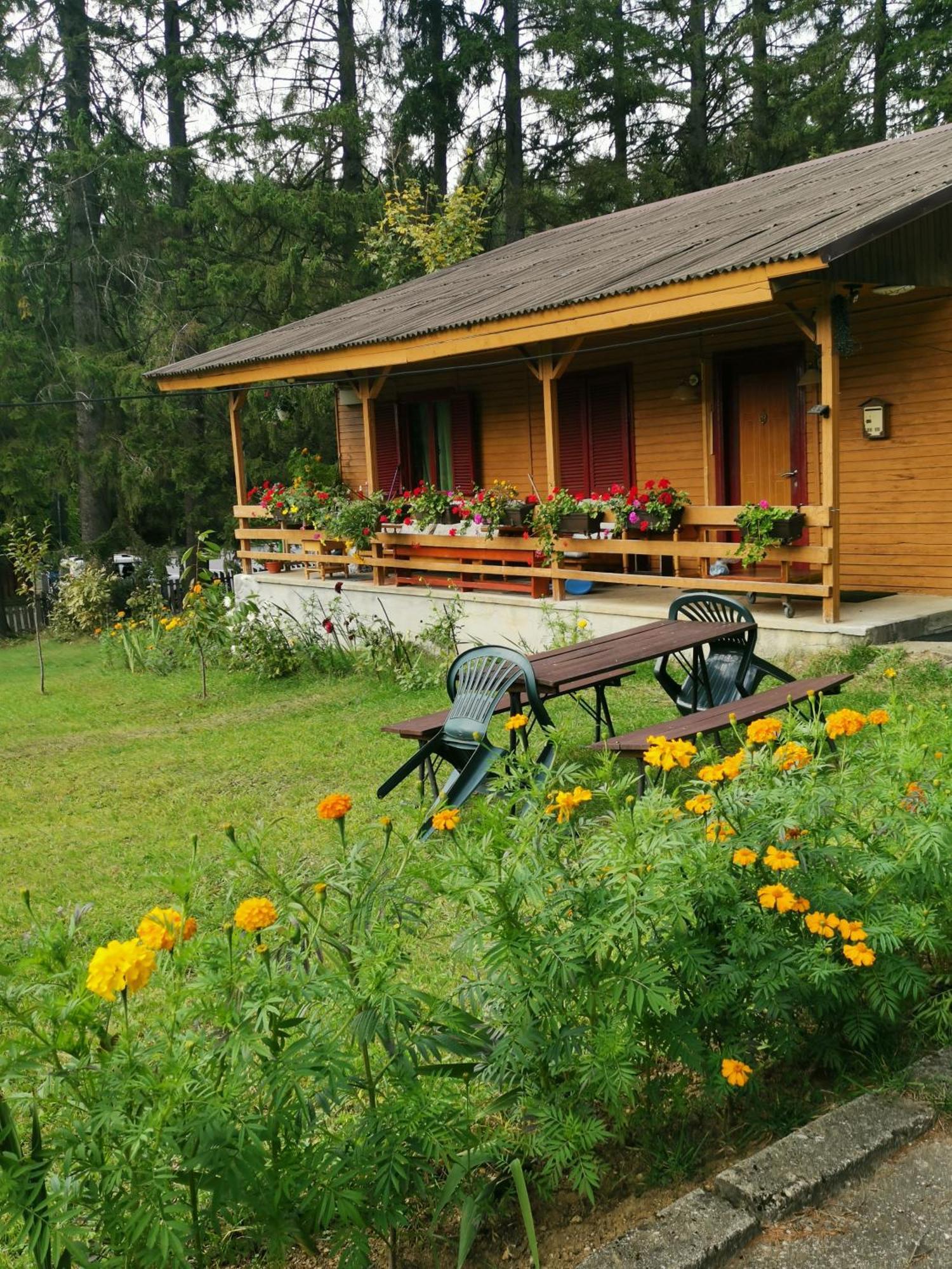 Challet Montan Poiana Brasov Ngoại thất bức ảnh